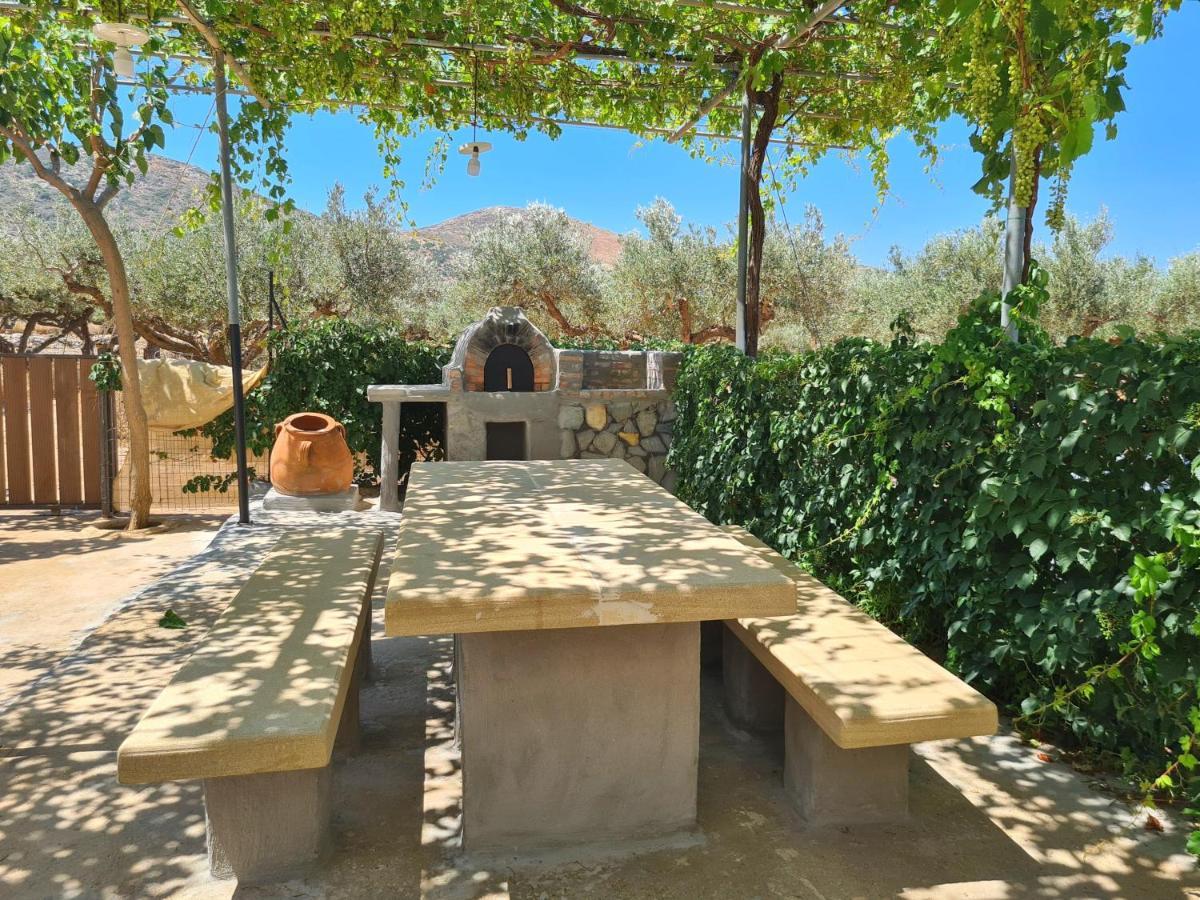 Pause Serenity House Into Olive Groves Villa Agios Fotios Eksteriør billede