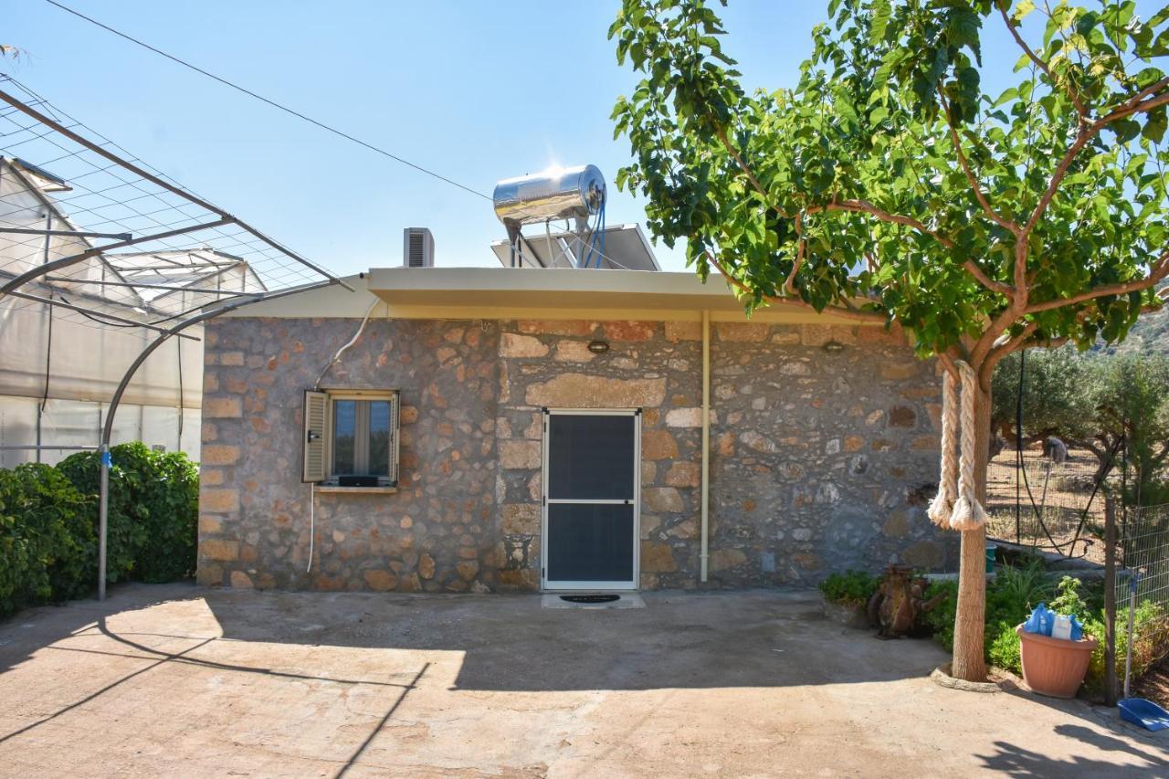 Pause Serenity House Into Olive Groves Villa Agios Fotios Eksteriør billede